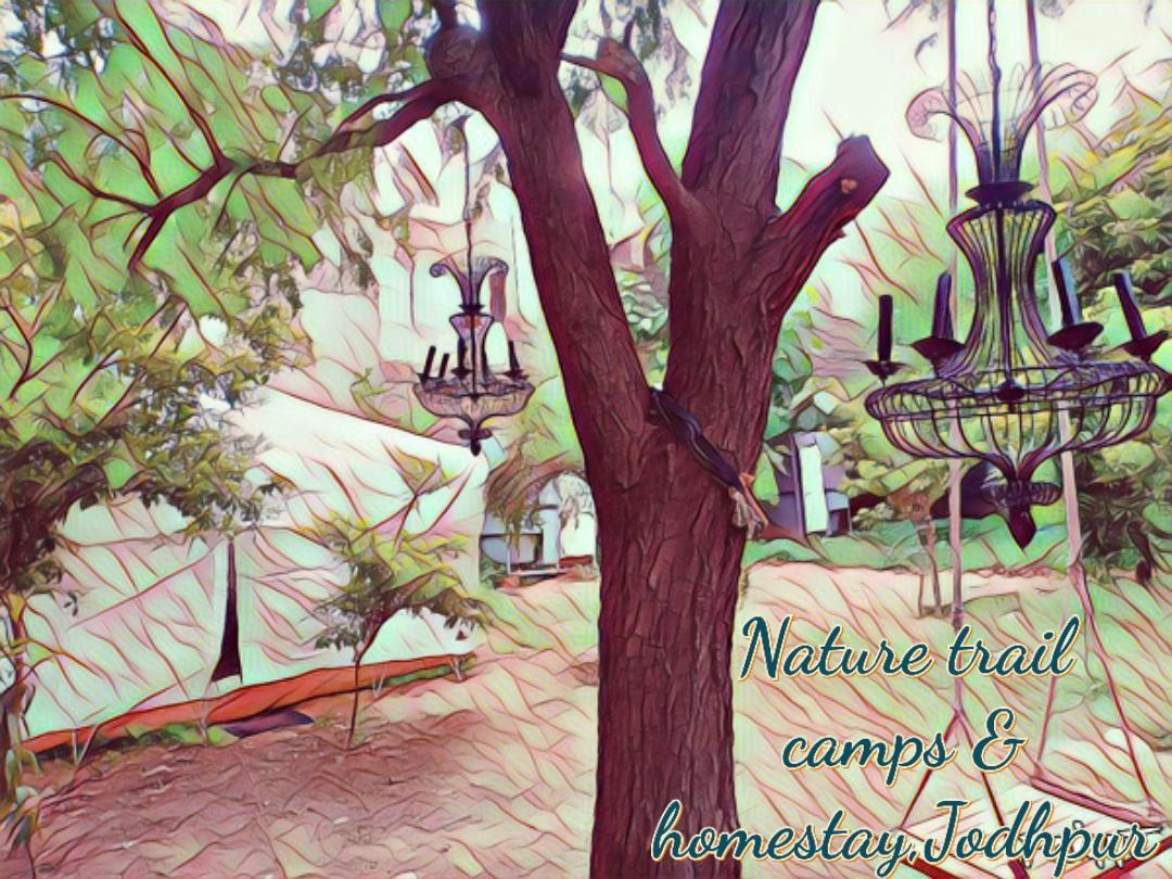 Nature Trail Camps & Homestay Jodhpur  Exterior foto